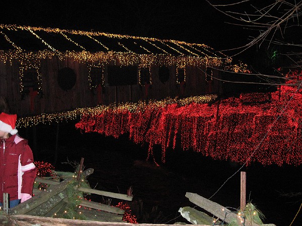 christmasthrumarch 042.jpg